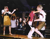 Christian Hollerer spielt Volksmusik